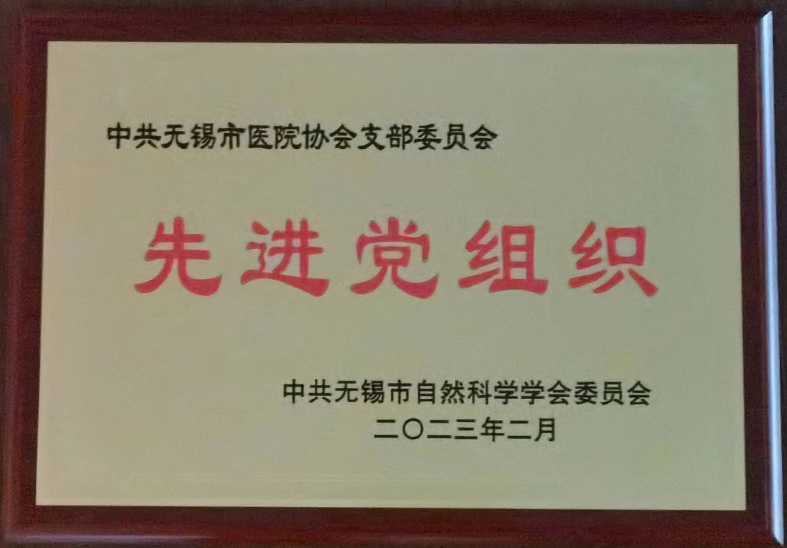 中共无锡市自然科学学会委员会先进党组织